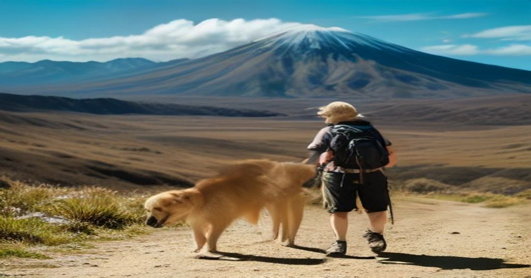 Exploring Animal Health and Veterinary Care in Tongariro, New Zealand