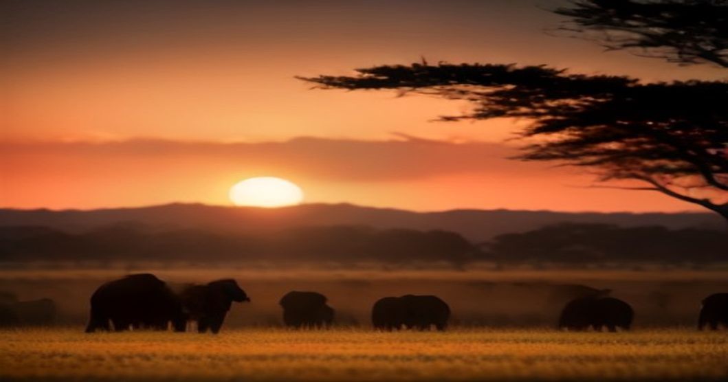 Inside the Secret World of Elephant Communication and Social Hierarchy
