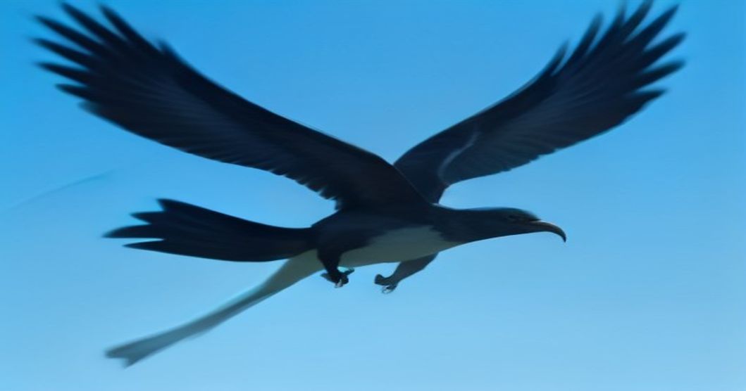 Masters of the Sky: The Fascinating Biology and Aerial Life of Swifts
