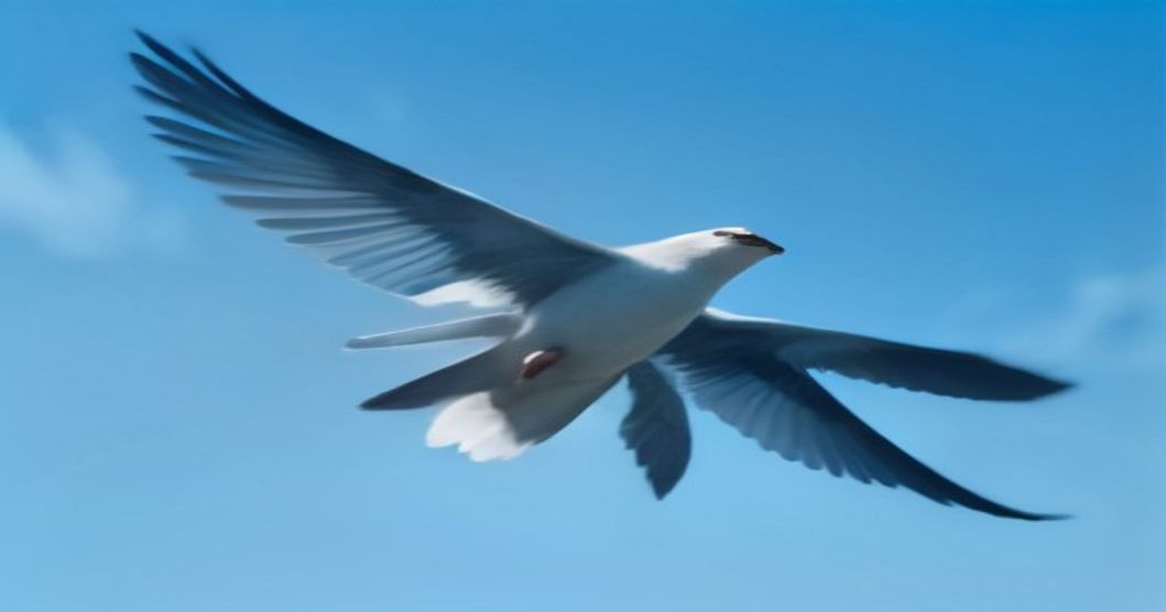 Masters of the Sky: The Fascinating Biology and Behavior of Swifts