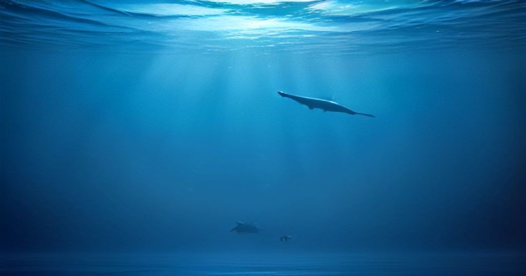 Sunfish: The Ocean's Gentle Giant