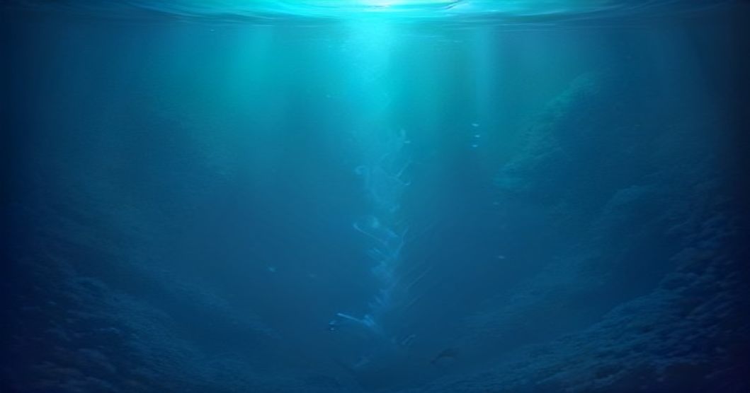 Unraveling the Mysteries of Siphonophora: The Ocean's Majestic Colonial Marvels