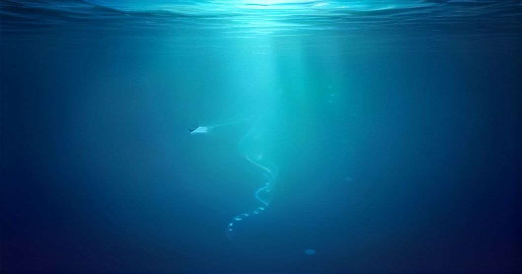 Unveiling Siphonophora: The Majestic Superorganisms of the Deep Sea