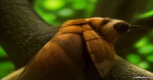 Titans of the Sky: The Astonishing Range and Impact of the Japanese Giant Hornet