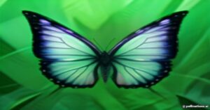 Unveiling the Magic of the Glass Butterfly (Greta oto): Nature’s Transparent Marvel