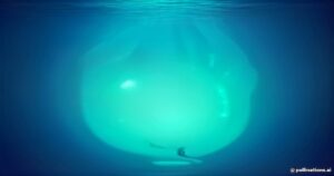 Unveiling the Ocean’s Greatest Mystery: The Rare Giant Squid Egg Mass