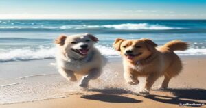 Down Under Animal Care: A Veterinarian’s Guide to Australia’s Unique Pet Health Landscape