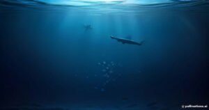 Lazarus of the Deep: The Astonishing Rediscovery of the Ancient Coelacanth