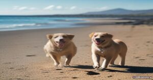 Paws in Paradise: Veterinary Insights on Pet Care in Lanzarote, Spain
