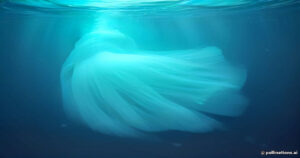 Tiny Terror of the Deep: Understanding the Deadly Irukandji Jellyfish