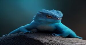Unveiling the Indian Rock Agama: Nature’s Tricolor Dazzler