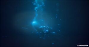 Unveiling the Mysteries of the Deep: The Fascinating Biology of Alicella gigantea